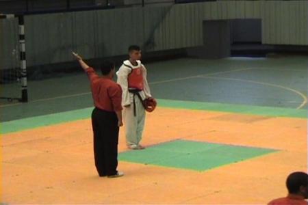 TAAEkWONDO TIGER